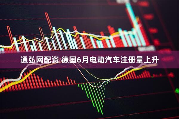 通弘网配资 德国6月电动汽车注册量上升