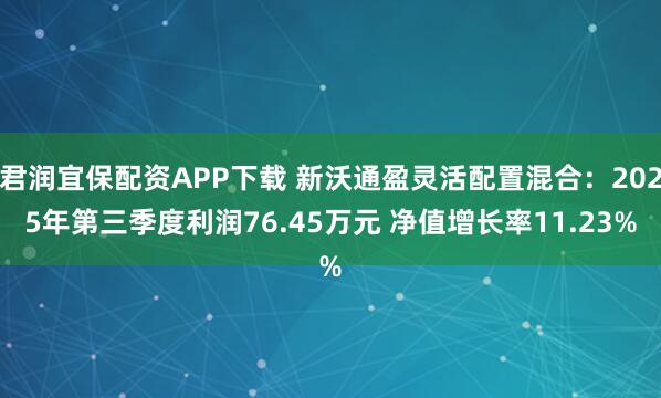君润宜保配资APP下载 新沃通盈灵活配置混合：2025年第三季度利润76.45万元 净值增长率11.23%