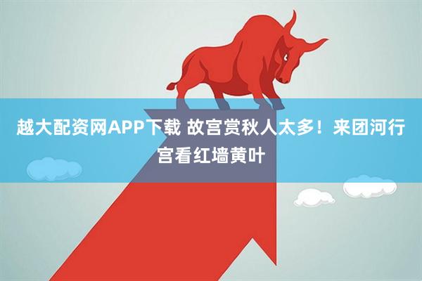 越大配资网APP下载 故宫赏秋人太多！来团河行宫看红墙黄叶