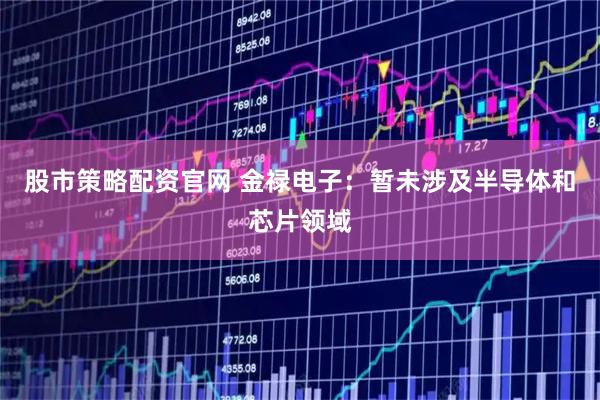 股市策略配资官网 金禄电子：暂未涉及半导体和芯片领域