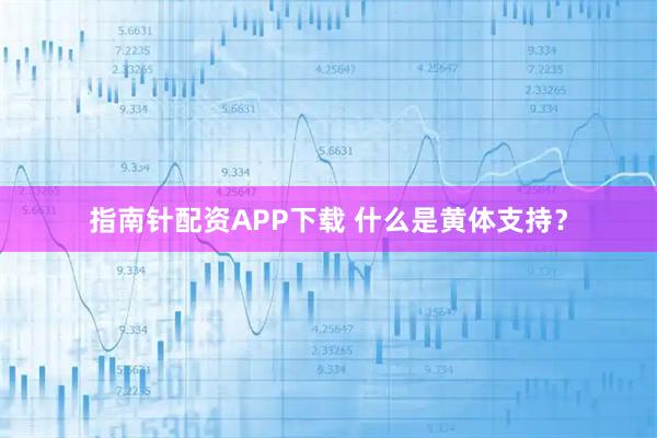 指南针配资APP下载 什么是黄体支持？