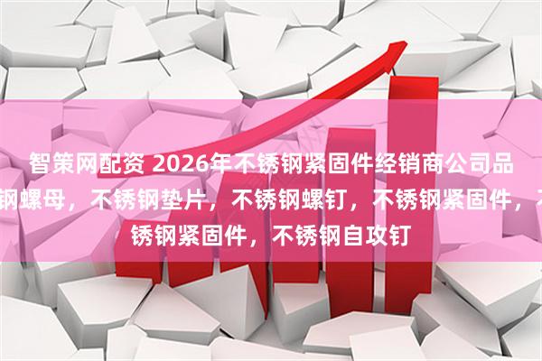 智策网配资 2026年不锈钢紧固件经销商公司品牌推荐/不锈钢螺母，不锈钢垫片，不锈钢螺钉，不锈钢紧固件，不锈钢自攻钉