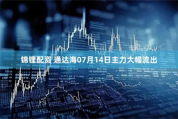 锦锂配资 通达海07月14日主力大幅流出