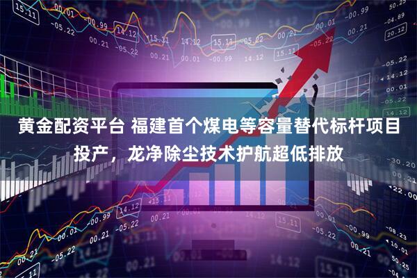 黄金配资平台 福建首个煤电等容量替代标杆项目投产，龙净除尘技术护航超低排放