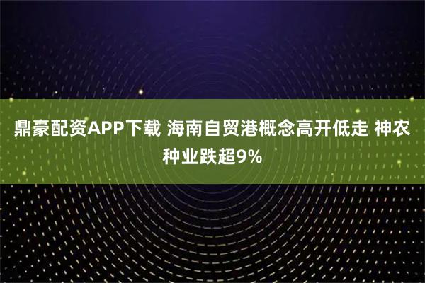 鼎豪配资APP下载 海南自贸港概念高开低走 神农种业跌超9%