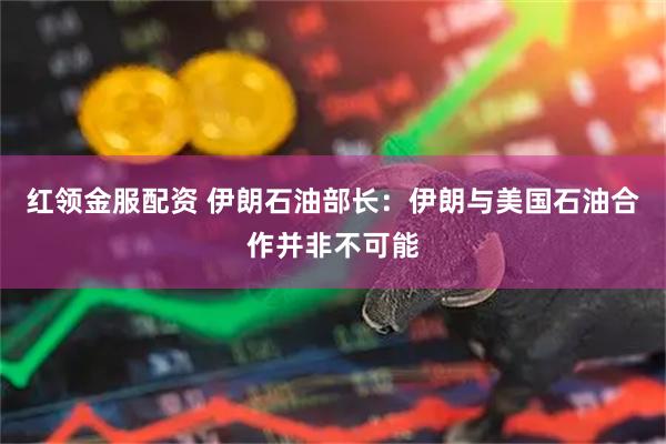 红领金服配资 伊朗石油部长：伊朗与美国石油合作并非不可能