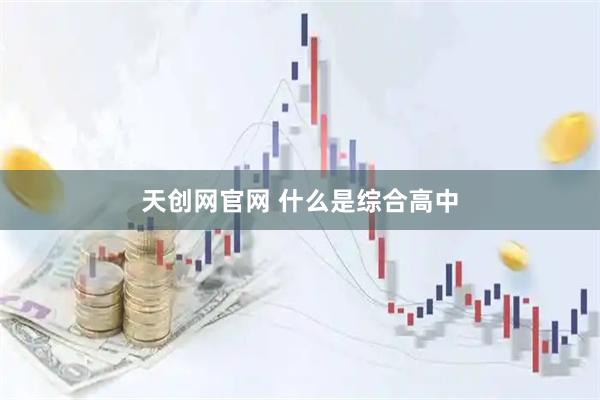 天创网官网 什么是综合高中