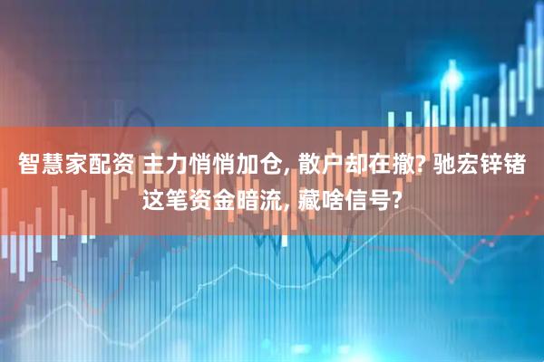 智慧家配资 主力悄悄加仓, 散户却在撤? 驰宏锌锗这笔资金暗流, 藏啥信号?